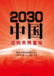 2030中国