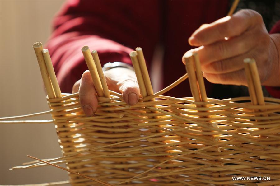 #CHINA-SHANDONG-TANCHENG-WILLOW MAKING (CN)