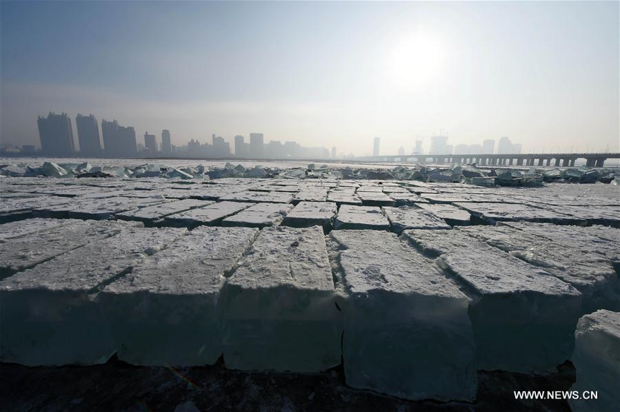 CHINA-HARBIN-ICE CUBE (CN)