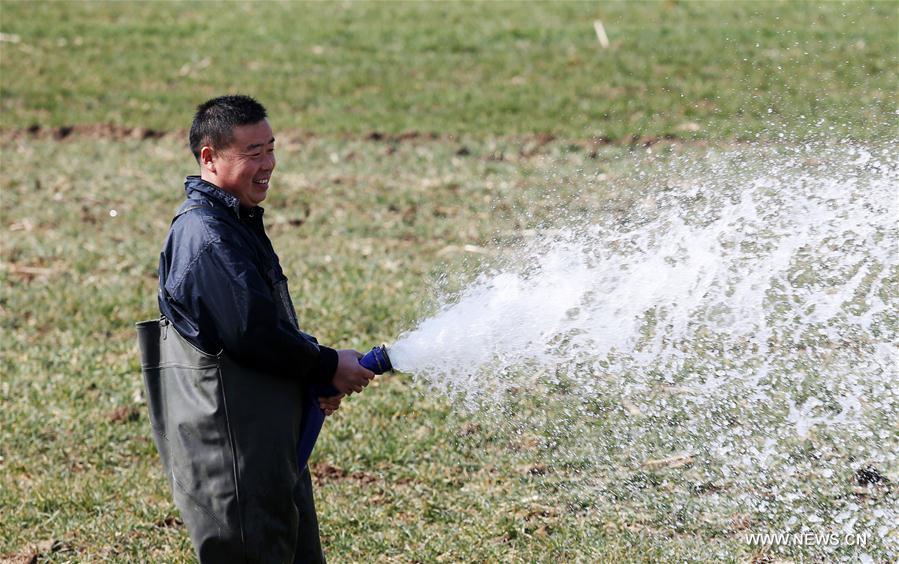 #CHINA-HAINAN-SPRING-AGRICULTURE(CN)