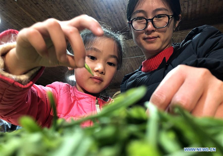 CHINA-JIANGSU-SUZHOU-TEA-MAKING (CN)