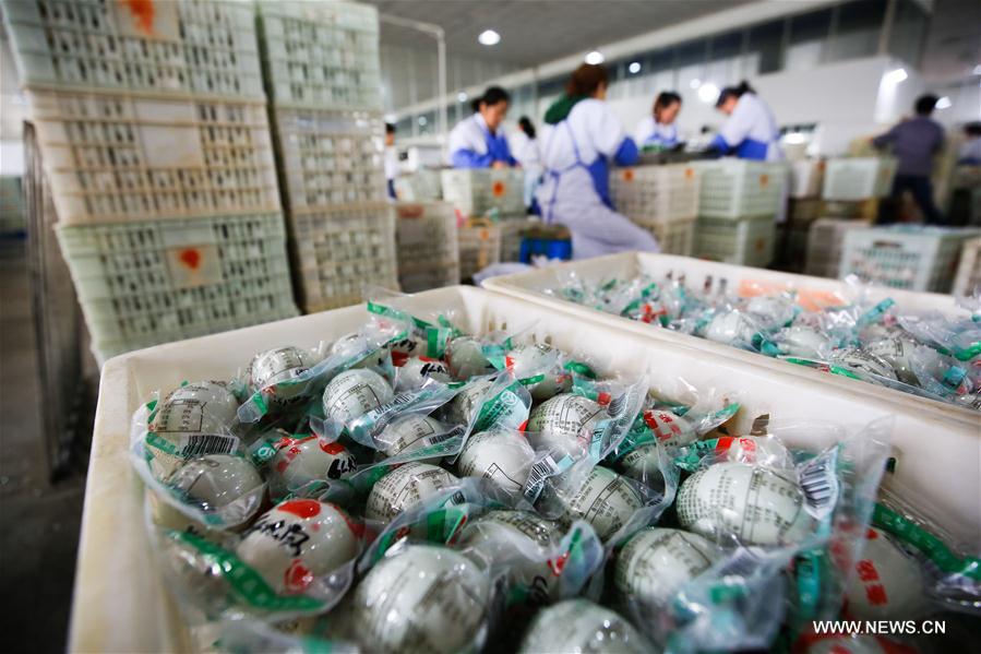 #CHINA-JIANGSU-SALTED DUCK EGGS INDUSTRY (CN)