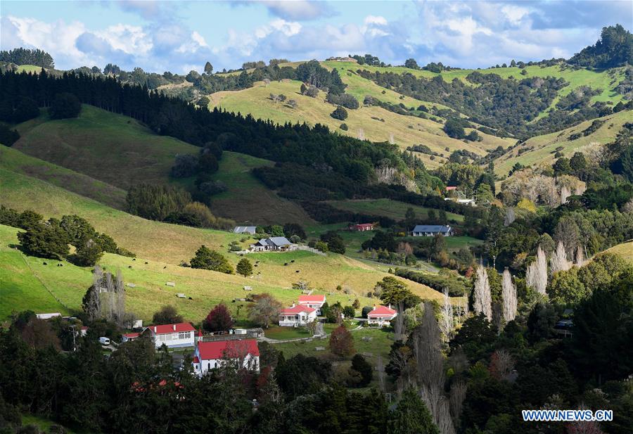 NEW ZEALAND-PUHOI-SCENERY