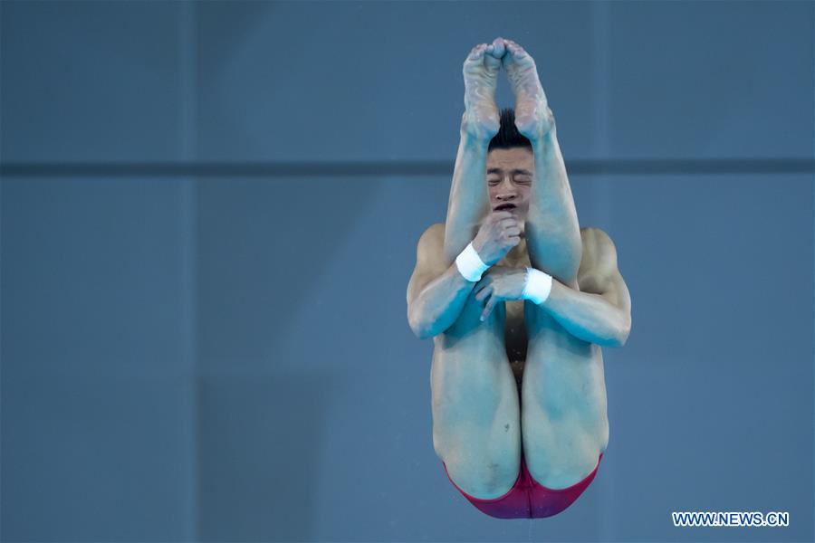 (SP)CHINA-WUHAN-DIVING-FINA-WORLD CUP (CN)