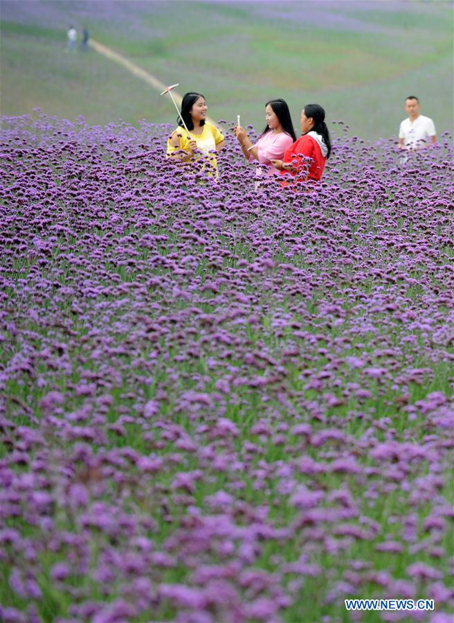 CHINA-GUIZHOU-WASTELAND-SCENIC SPOT (CN)