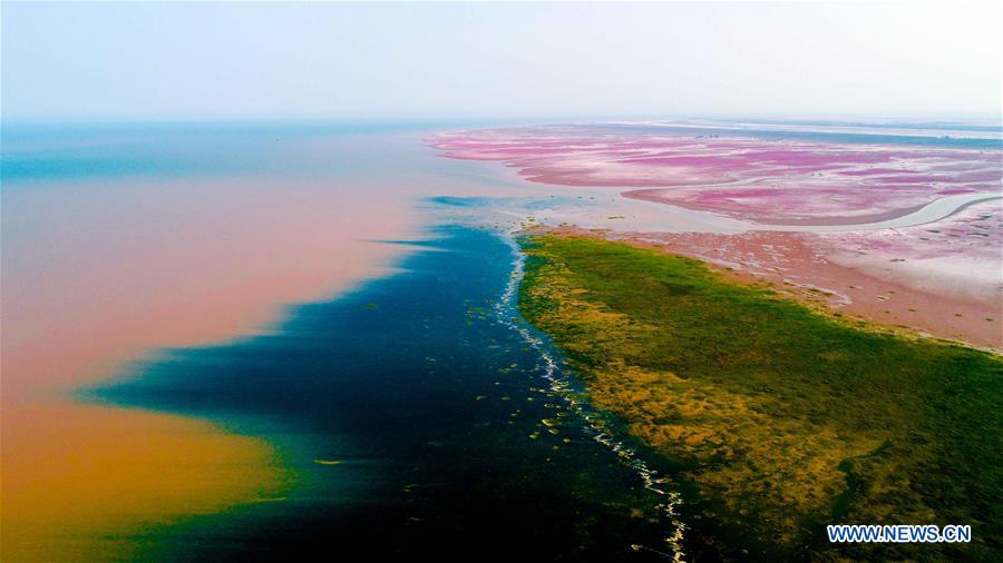 CHINA-SHANDONG-DONGYING-AERIAL VIEW (CN)