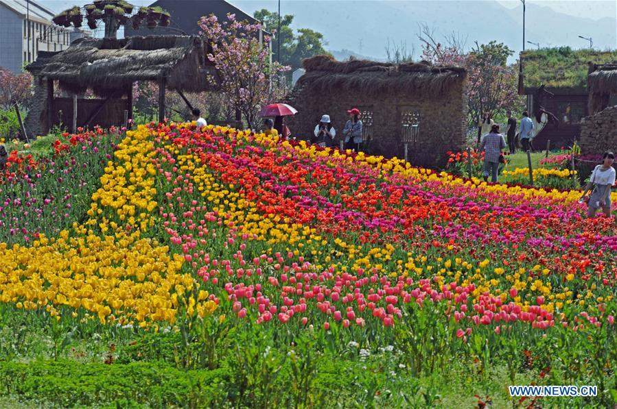 CHINA-ZHEJIANG-VILLAGES-TOURISM (CN)