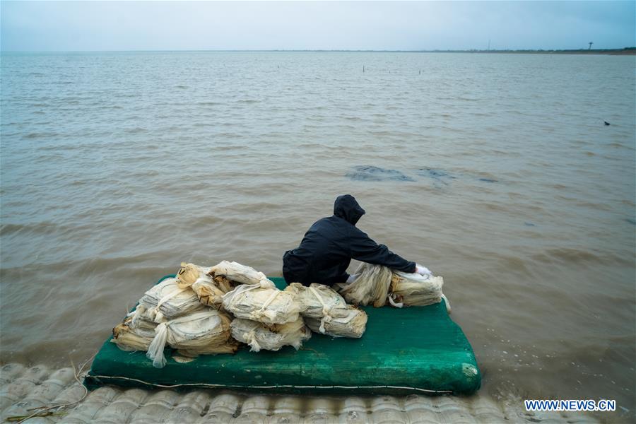 CHINA-JIANGSU-TYPHOON AMPIL(CN)