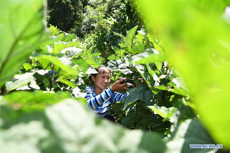 CHINA-CHONGQING-DISABLED FEMALE FARMER (CN)