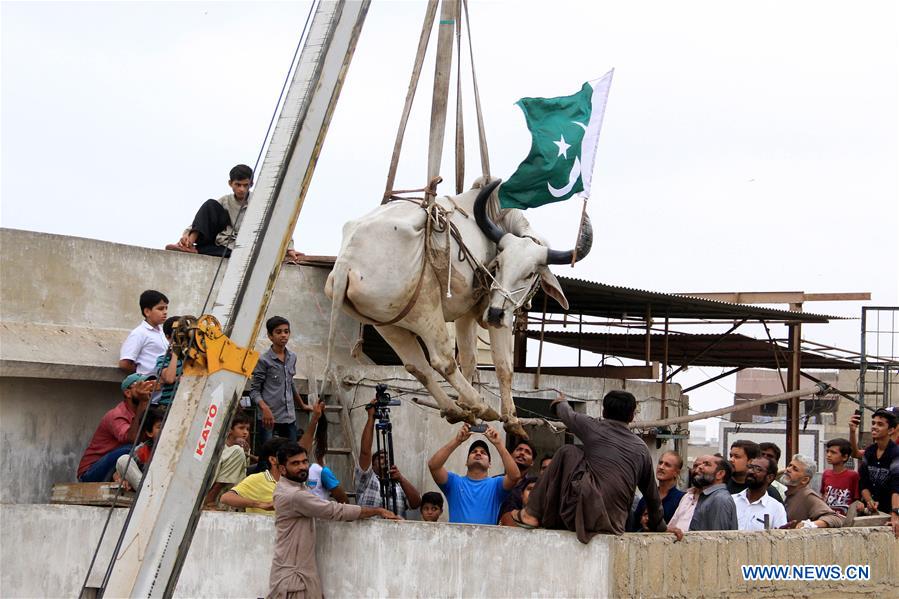 PAKISTAN-KARACHI-EID AL-ADHA-PREPARATION