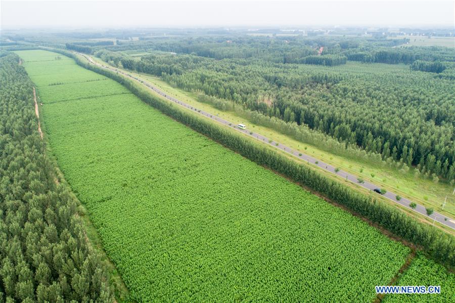 #CHINA-SHANDONG-GAOQING-ROAD (CN)