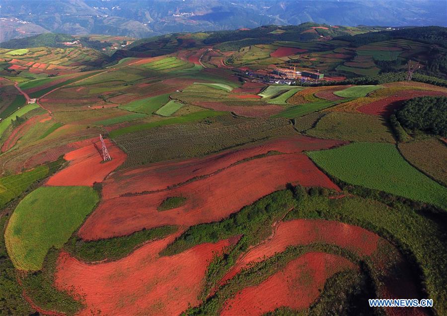 CHINA-YUNNAN-DONGCHUAN RED LAND-SCENERY (CN)