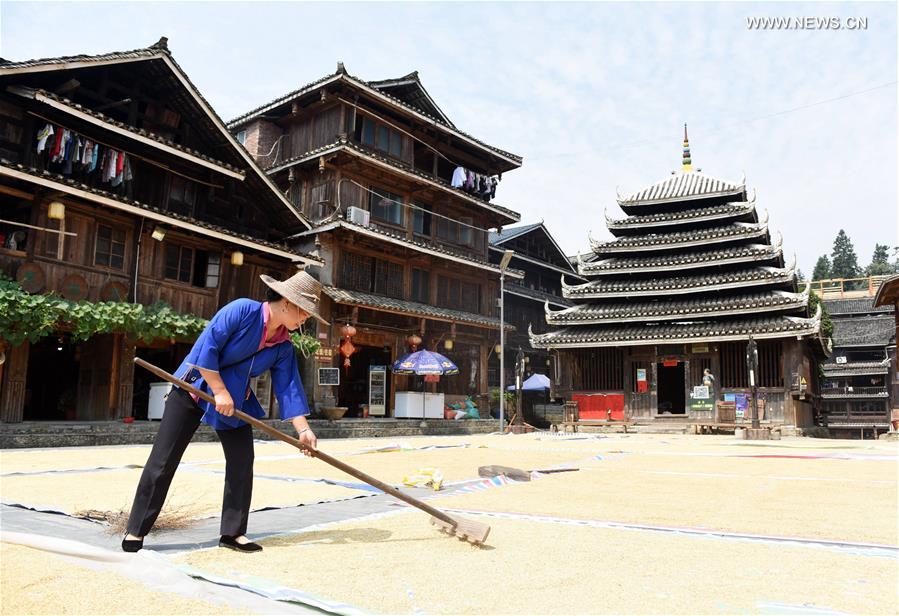 #CHINA-GUANGXI-SANJIANG-AGRICULTURE-GRAIN HARVEST (CN)