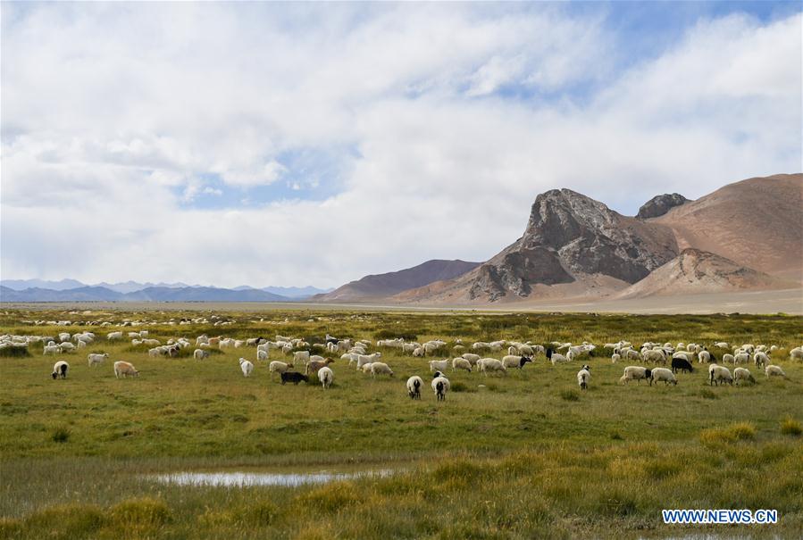 CHINA-TIBET-ALI-POVERTY RELIEF-LIFE (CN)