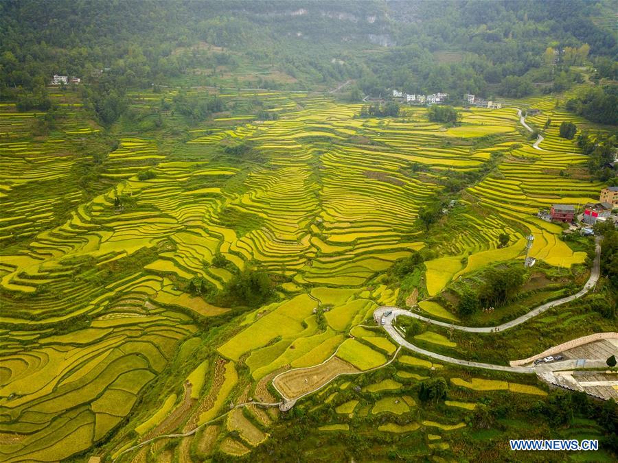 CHINA-CHONGQING-FARMWORK-TOURISM (CN)