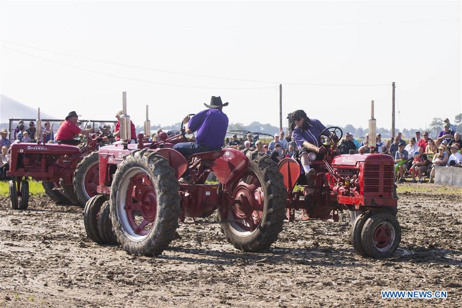 CANADA-ONTARIO-CHATHAM KENT-IPM-DANCING TRACTORS