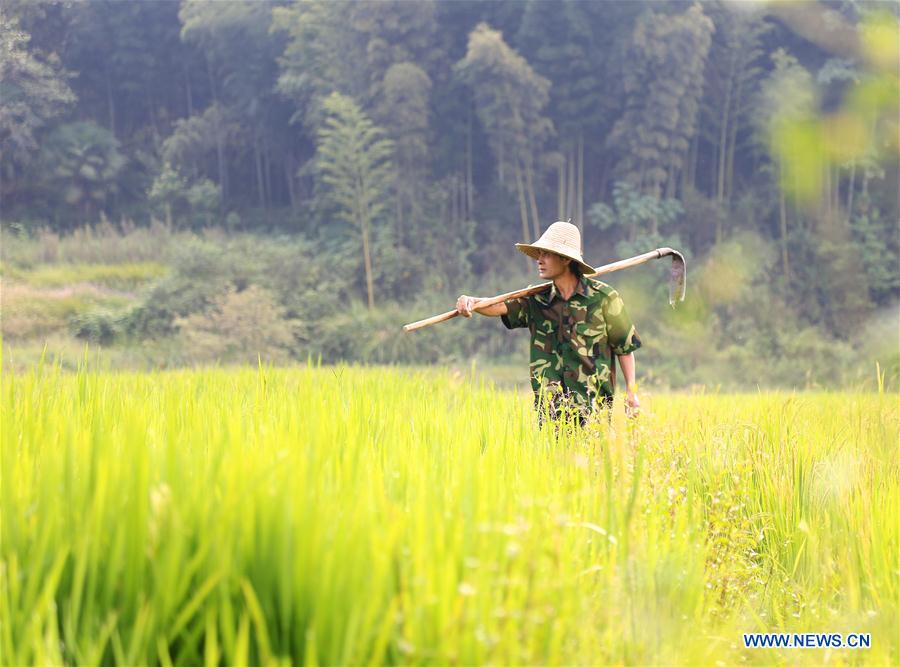 CHINA-JIANGXI-FARMER PAINTERS (CN)