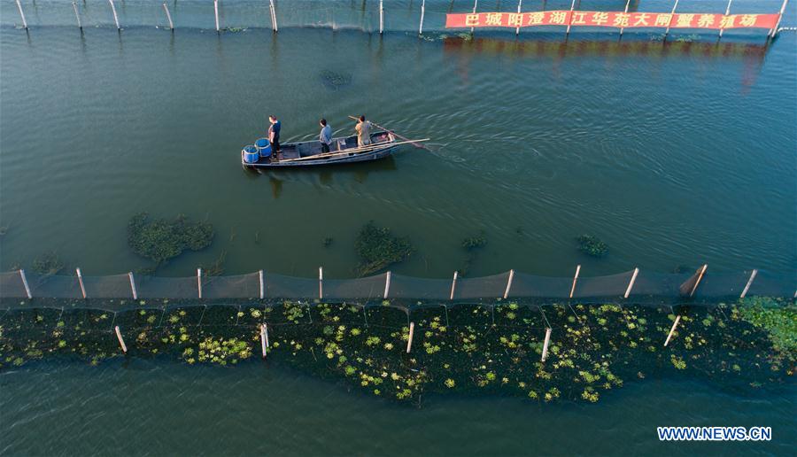 CHINA-JIANGSU-KUNSHAN-HAIRY CRAB CULTIVATOR (CN)