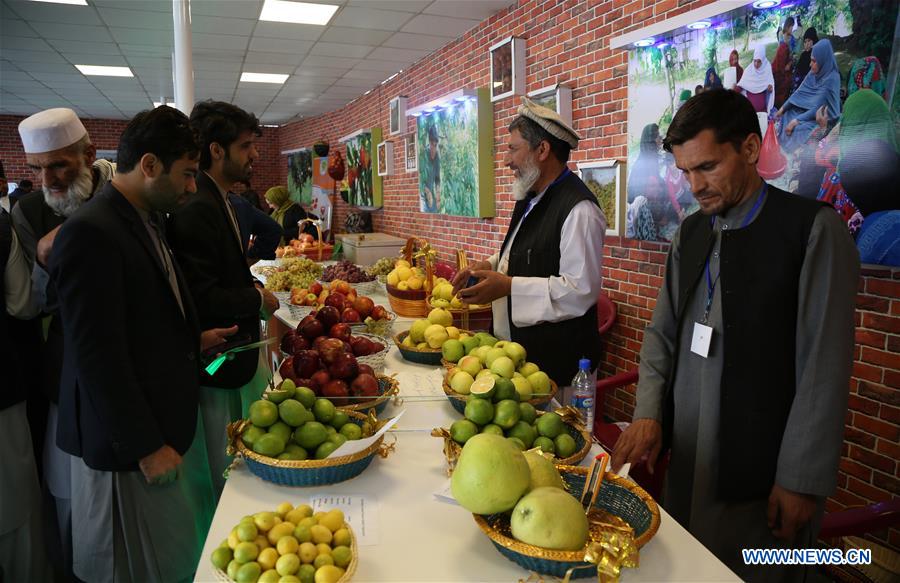 AFGHANISTAN-KABUL-AGRICULTURE EXPO