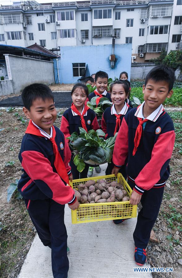 CHINA-ZHEJIANG-HUZHOU-CAMPUS PLANTATION-HARVEST(CN)