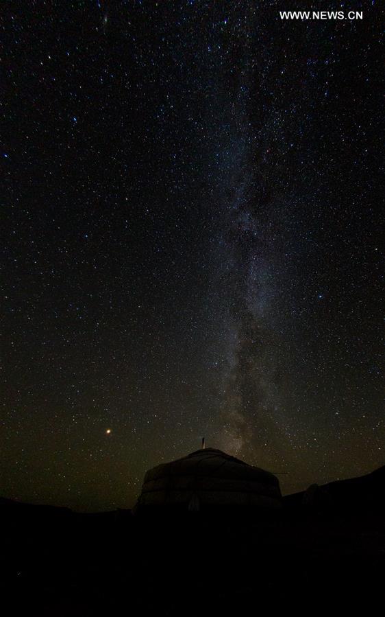 MONGOLIA-HUSTAI NATIONAL PARK-STARRY SKY