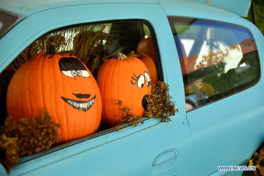 SLOVENIA-LJUBLJANA-FUNNY PUMPKIN EXHIBITION