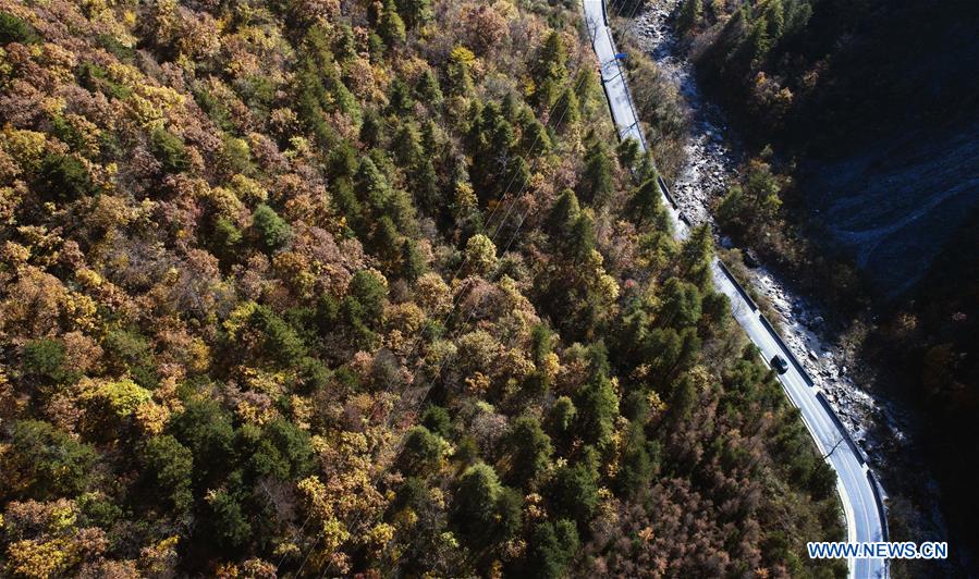 CHINA-QINLING MOUNTAINS-AUTUMN SCENERY(CN)