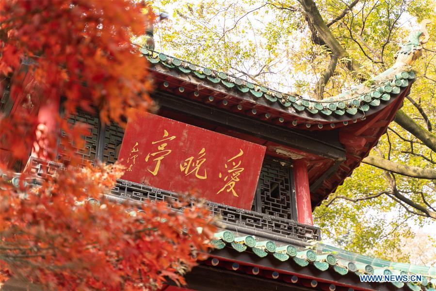 CHINA-HUNAN-CHANGSHA-AUTUMN SCENERY (CN)