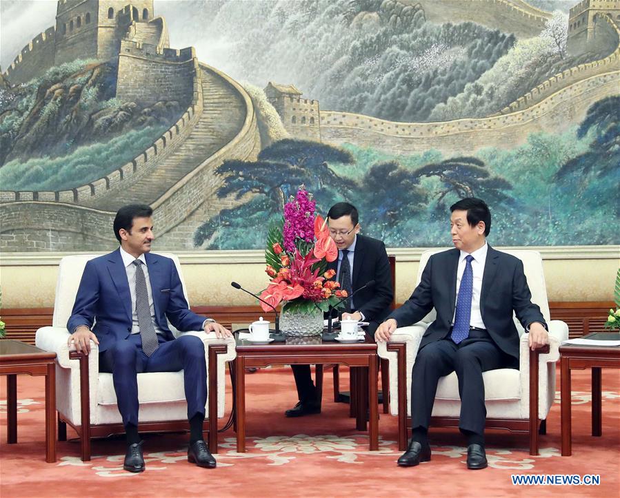 CHINA-BEIJING-LI ZHANSHU-QATARI EMIR-MEETING (CN)