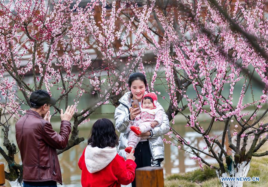 #CHINA-SPRING FESTIVAL-BLOSSOM (CN)