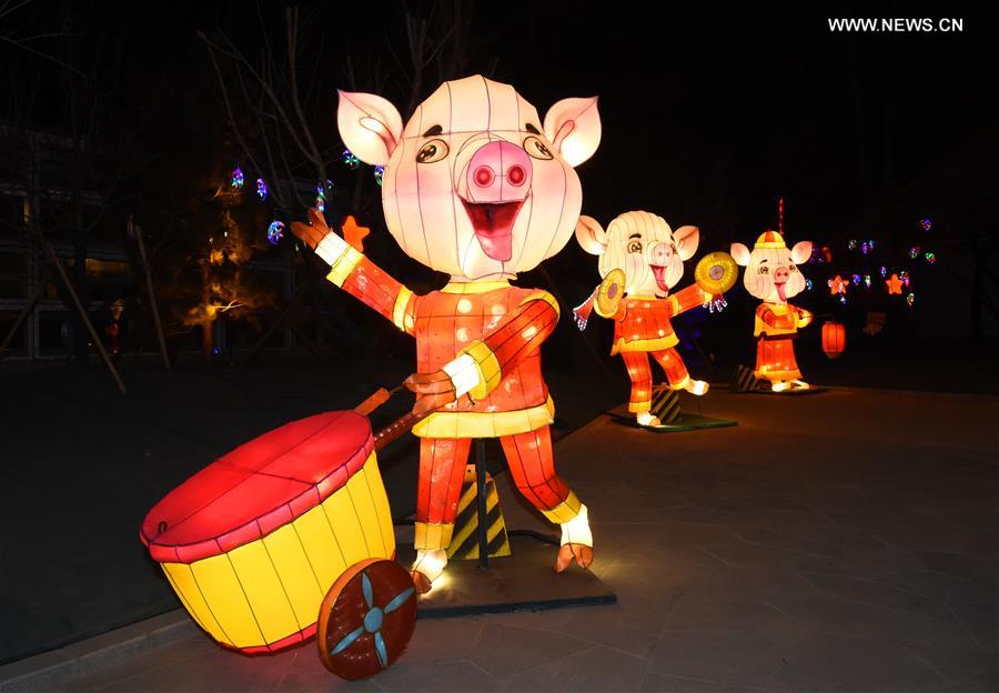 #CHINA-SPRING FESTIVAL-FANCY LANTERN-CELEBRATION (CN)