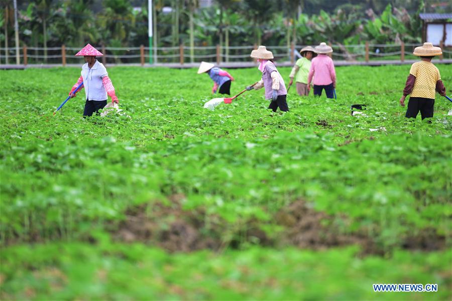 #CHINA-EARLY SPRING-AGRICULTURE (CN)