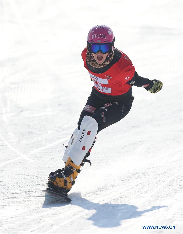 (SP)CHINA-HEBEI-ZHANGJIAKOU-FIS SNOWBOARD-PARALLEL GIANT SLALOM(CN)