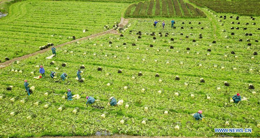 #CHINA-SPRING-FARMING (CN)