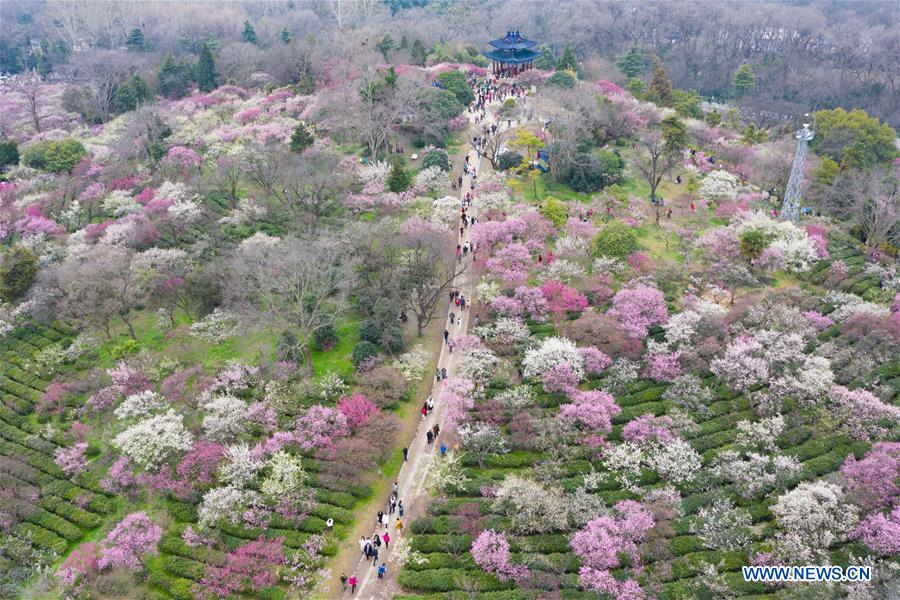 #CHINA-SPRING-FLOWERS (CN)