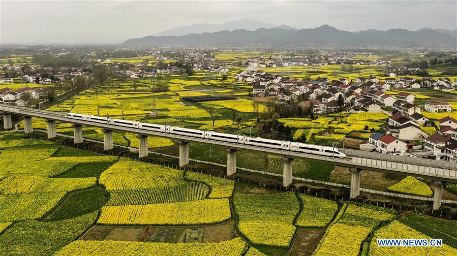 CHINA-SHAANXI-SPRING-COLE FLOWERS (CN)