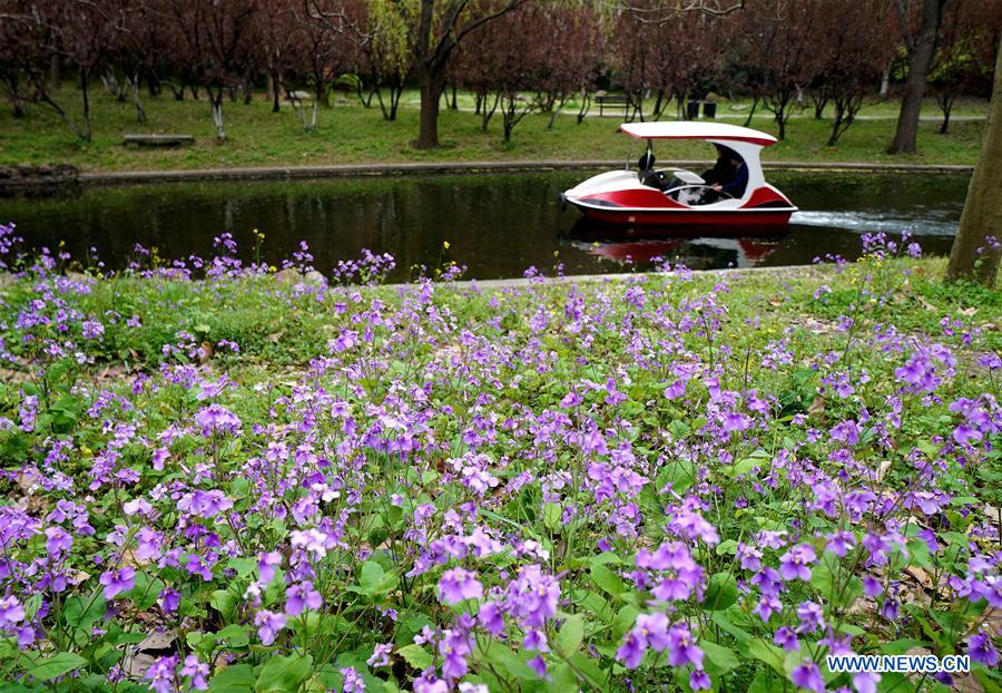 CHINA-SHANGHAI-CITY FOREST FLOWER EXHIBITION (CN)