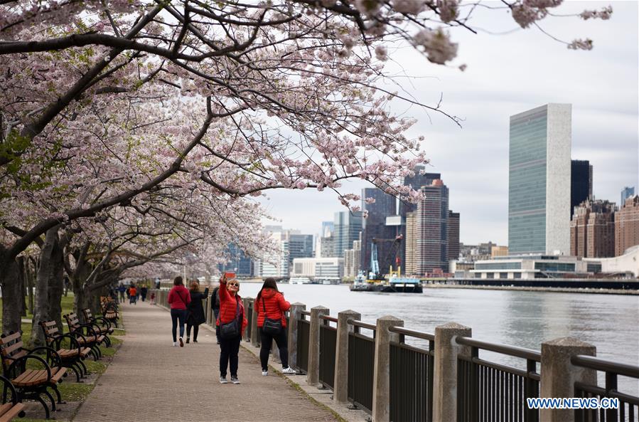  U.S.-NEW YORK-SPRING-SCENERY