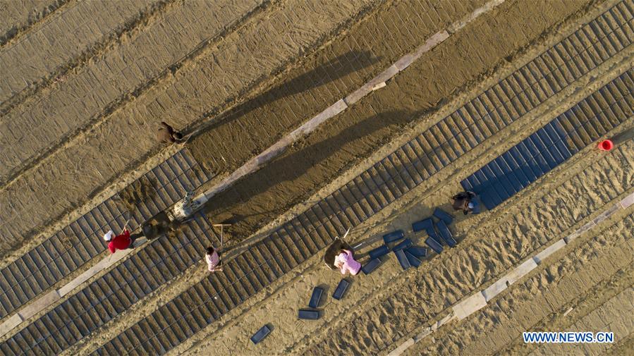 #CHINA-LABOR DAY HOLIDAY-FARMING (CN)