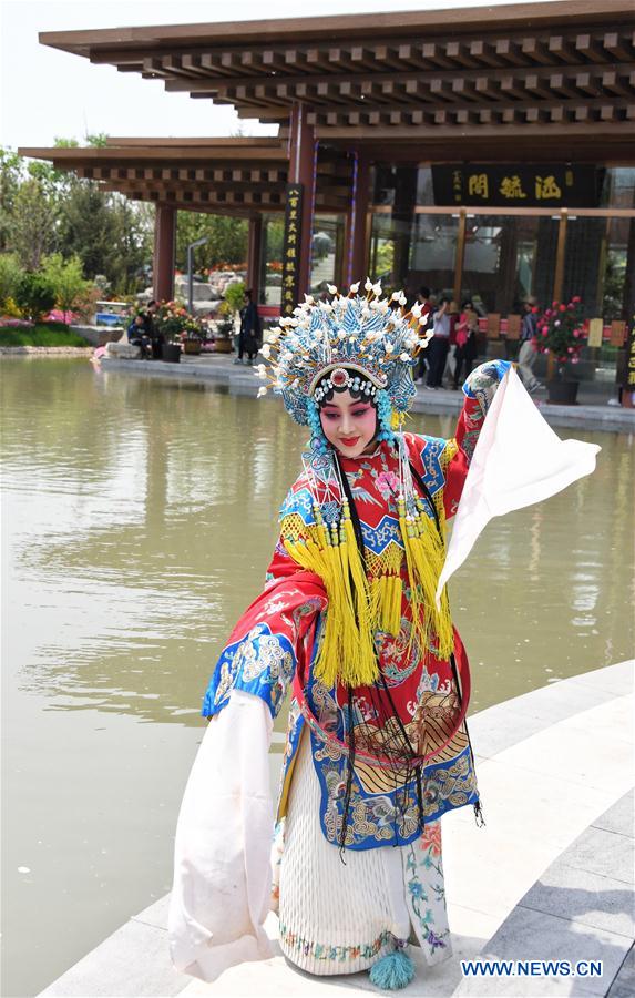 CHINA-BEIJING-HORTICULTURAL EXPO-THEME EVENT-HEBEI DAY (CN)