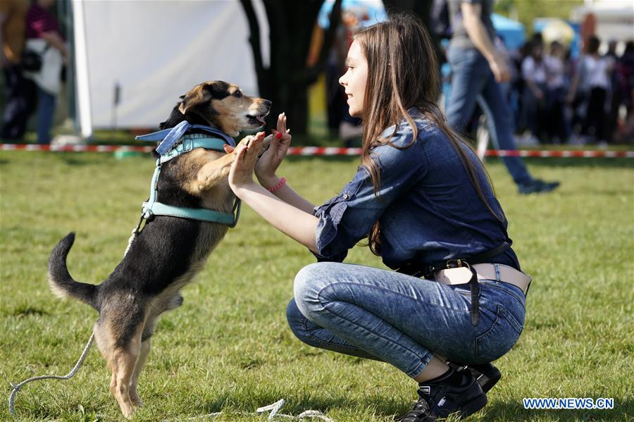 POLAND-WARSAW-WARSAW PET DAY