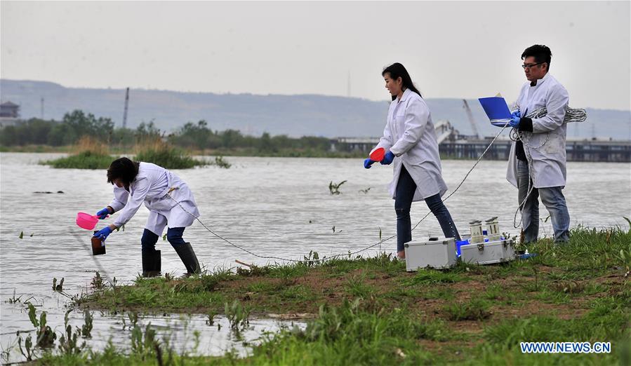 CHINA-SHAANXI-BAOJI-GREENING EFFORTS (CN)