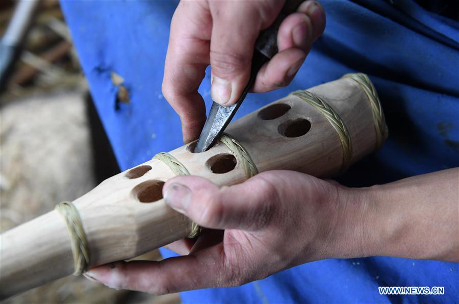 CHINA-GUANGXI-INSTRUMENT-LUSHENG-MAKING (CN)