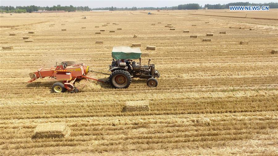 #CHINA-WHEAT STRAW-RECYCLING (CN)