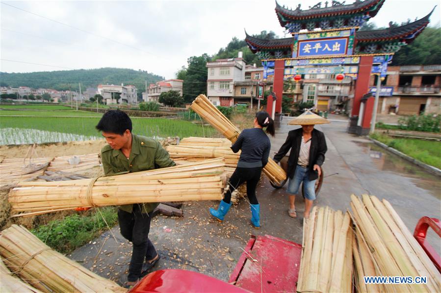 #CHINA-HUNAN-TANTOU-PAPERMAKING (CN)