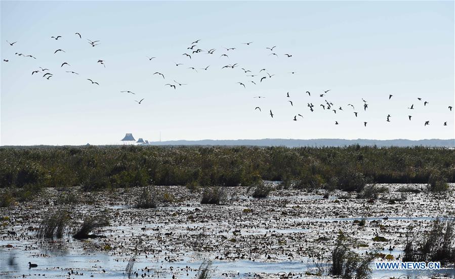 CHINA-HEILONGJIANG-WETLAND PROTECTION (CN)