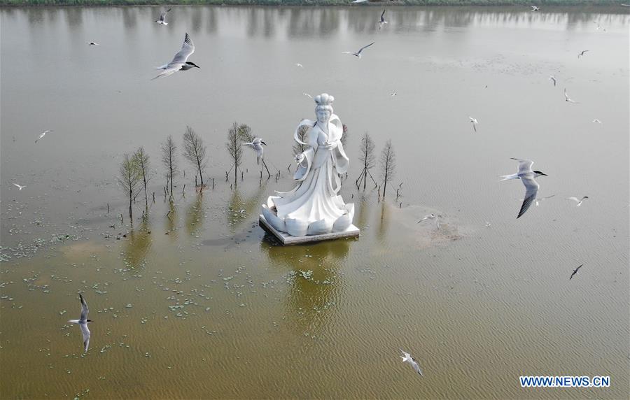 CHINA-JIANGSU-WETLAND-BIRDS (CN)