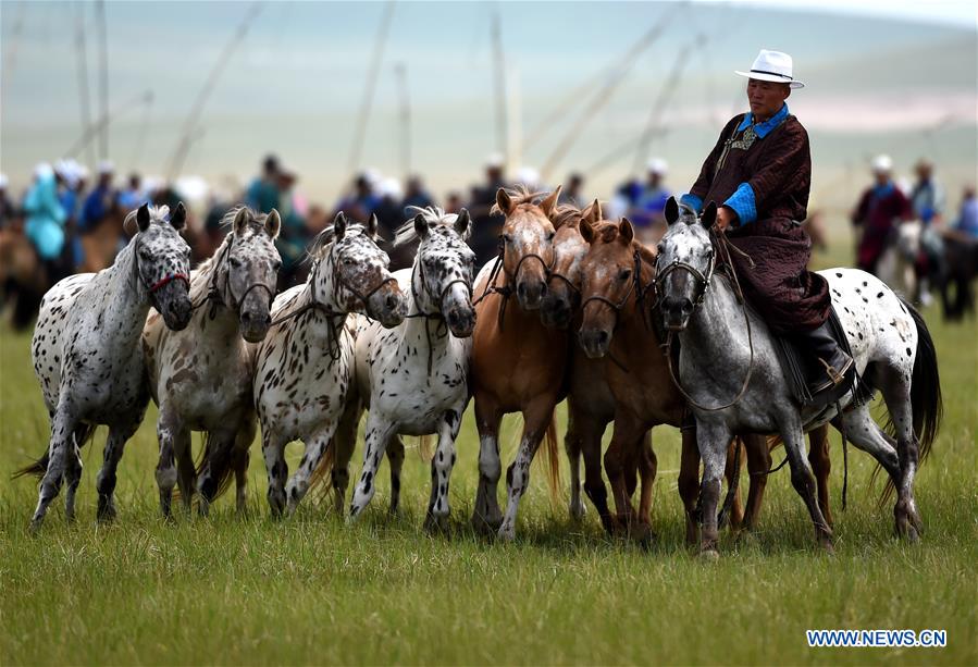 CHINA-INNER MONGOLIA-HORSE-EQUINE CULTURE-EVENT (CN)