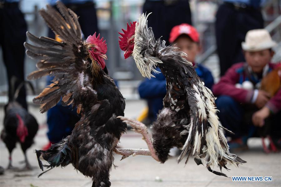 CHINA-SICHUAN-YI ETHNIC GROUP-TORCH FESTIVAL (CN)