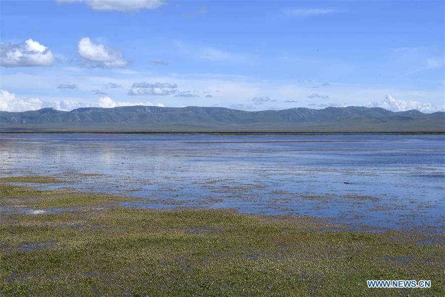 CHINA-GANSU-GANNAN-GAHAI LAKE-ECOLOGY (CN)